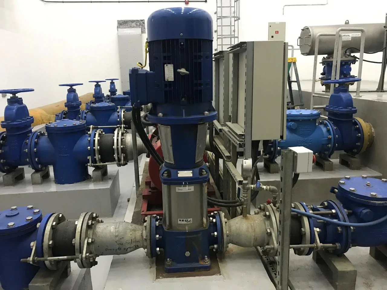 Vertical pump and valves in a plant room